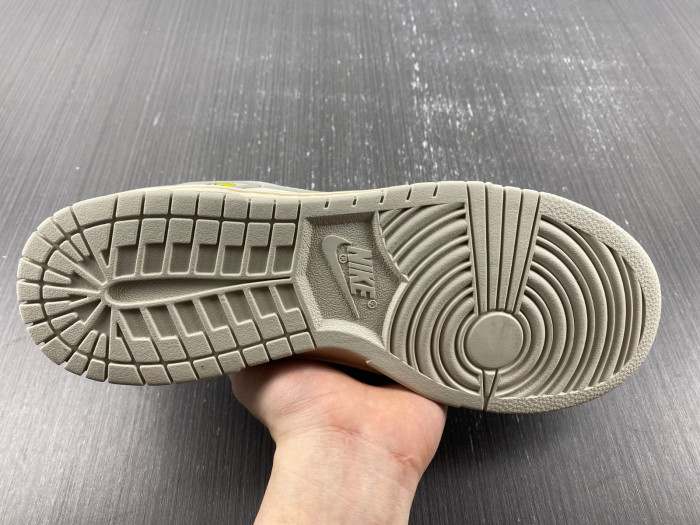 nike dunk low Ch*0me He**ts  dd1503-107