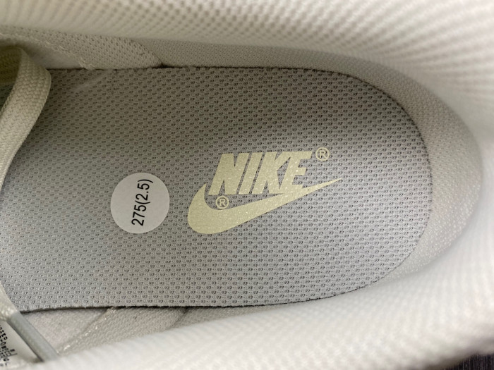 nike dunk low Ch*0me He**ts  dd1503-107